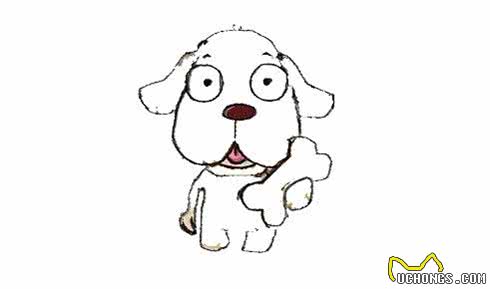 狗为什么会磨牙?作为新手铲屎官，你需要了解这几点