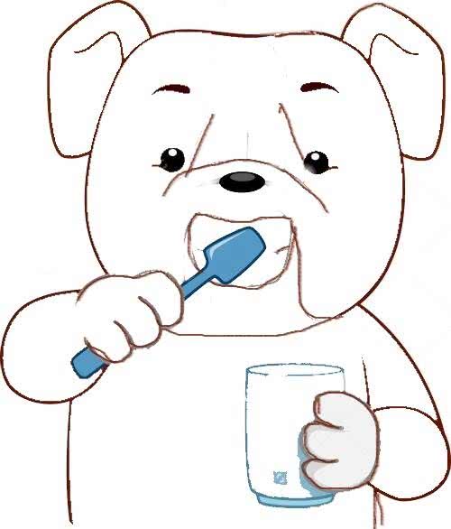 狗为什么会磨牙?作为新手铲屎官，你需要了解这几点