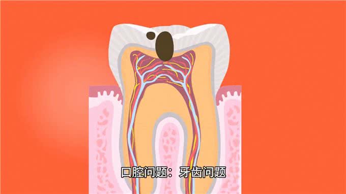 识别狗健康问题的迹象