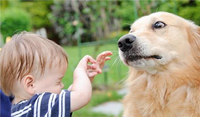 让家中狗狗不再胆小，训犬师教你面对着五种场景，帮它获得安全感