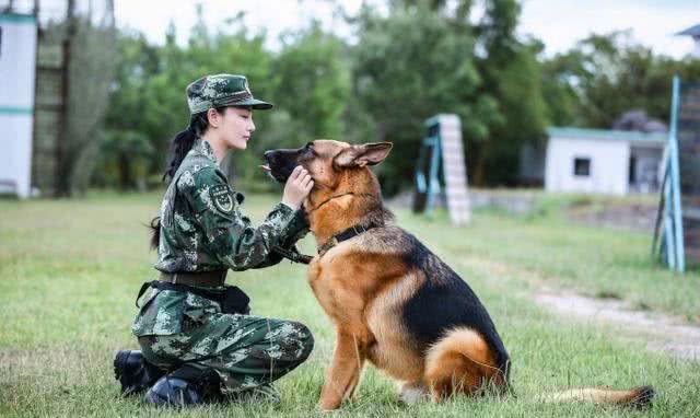 如果你想成为训犬师，这几点你准备好了吗?尤其最后一点很重要