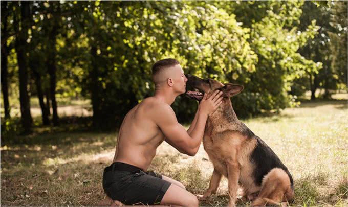 边境牧羊犬智商高到爆表，它的这些特征让你又爱又恨