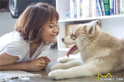 给狗狗吃骨头要注意这三点，要不就不要给吃