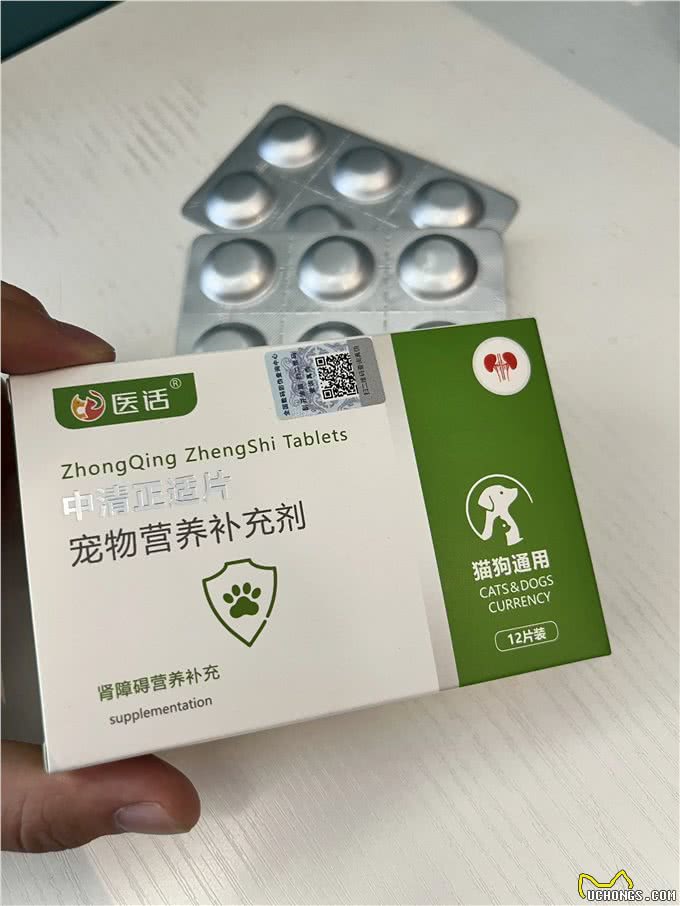 狗狗肾衰的几种表现，越早发现越好