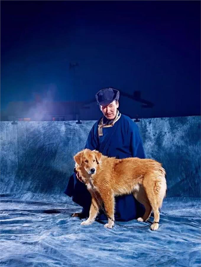 蒙古牧羊犬，古老东方咬狼犬一种能够驱赶并杀死狼的大型猛犬