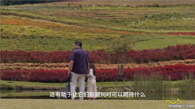 怎么样养好一条狗