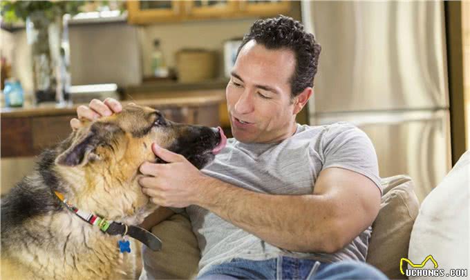 关于德国牧羊犬你了解多少?