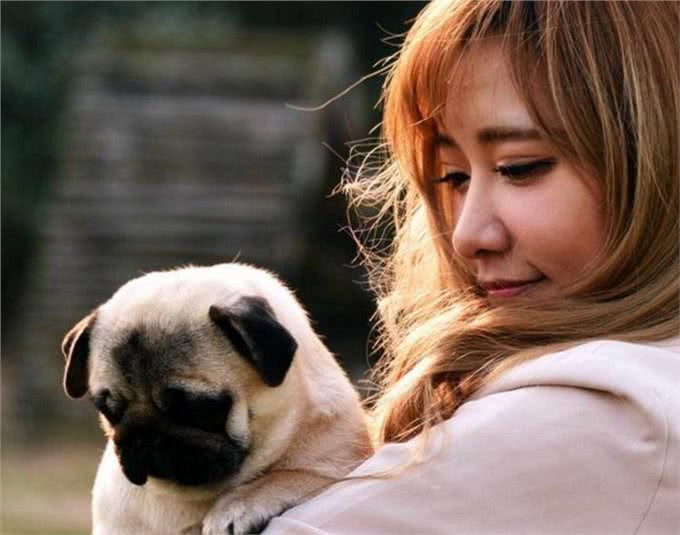 狗狗记住主人只需3个月,忘记主人要多久?答案你想不到