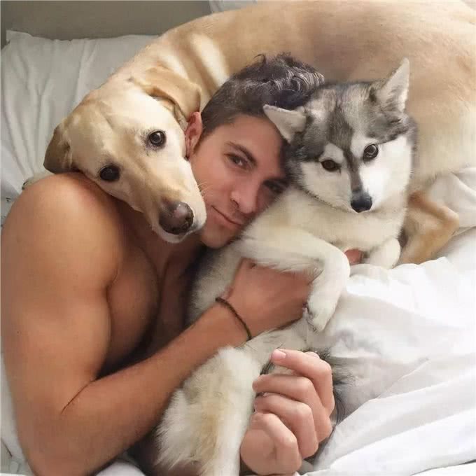 别再乱花钱了,相比狗窝,它们更爱在这些地方睡觉