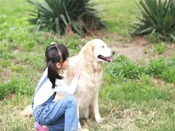 真是奇了怪了,主人出真差,小狗学会说话了吗?