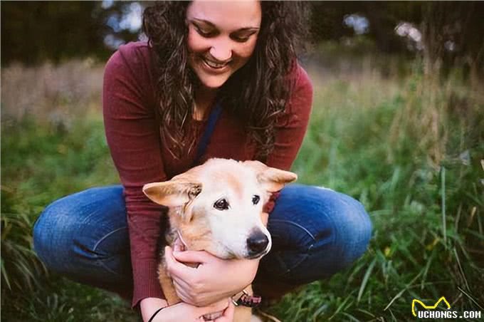 养狗的好处和坏处,一文总结!网友:过于真实了