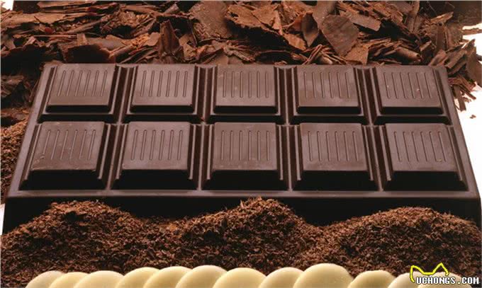 狗为什么不能吃巧克力，葡萄，尤其是洋葱