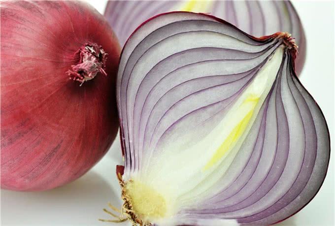 狗为什么不能吃巧克力，葡萄，尤其是洋葱