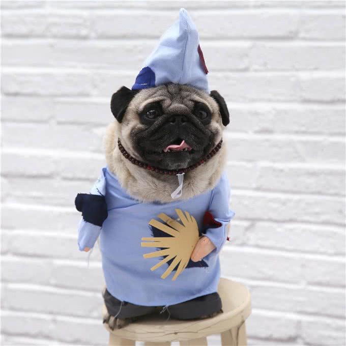 不得不说，铲屎官给狗狗取得这些名字，实在让人佩服