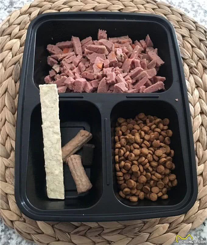 励志!狗狗1年减掉90斤，曾胖到无法行走