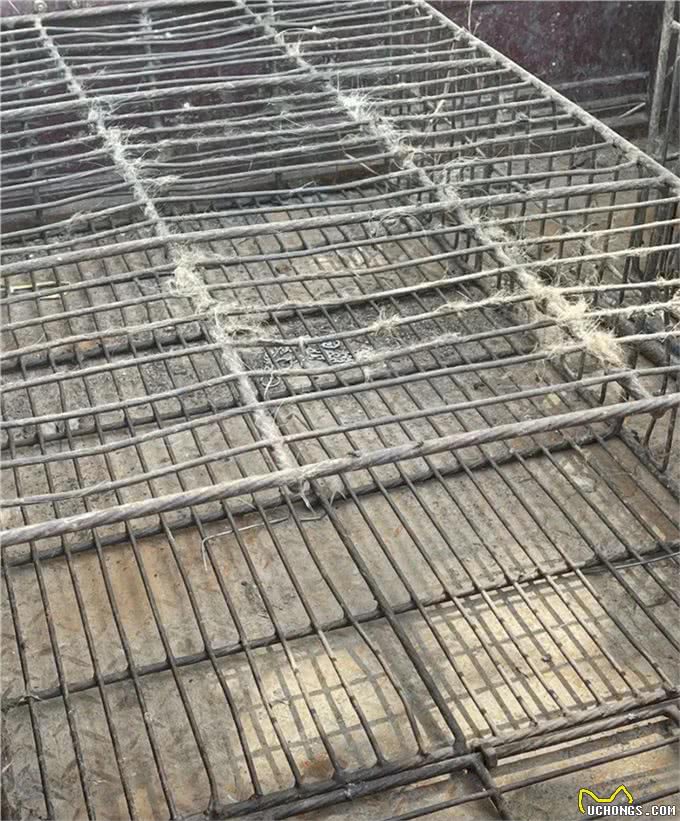 小狗被偷,被等主人找到时就只剩下四只冰冷的爪爪,让人触目惊心