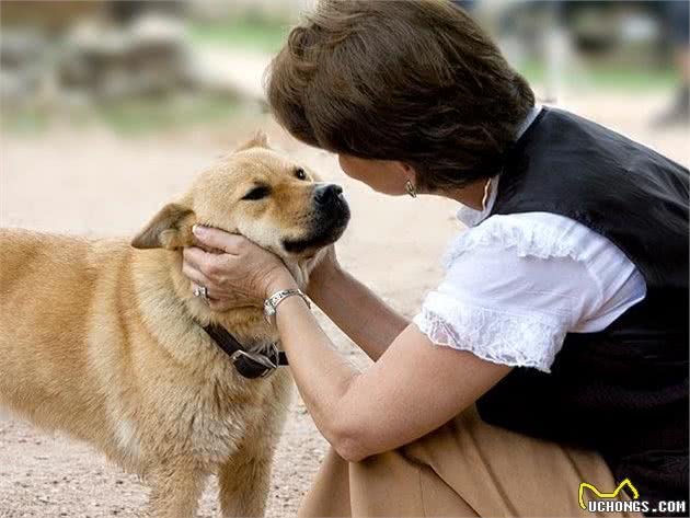 想让狗狗听懂你的话，做到这三点是关键
