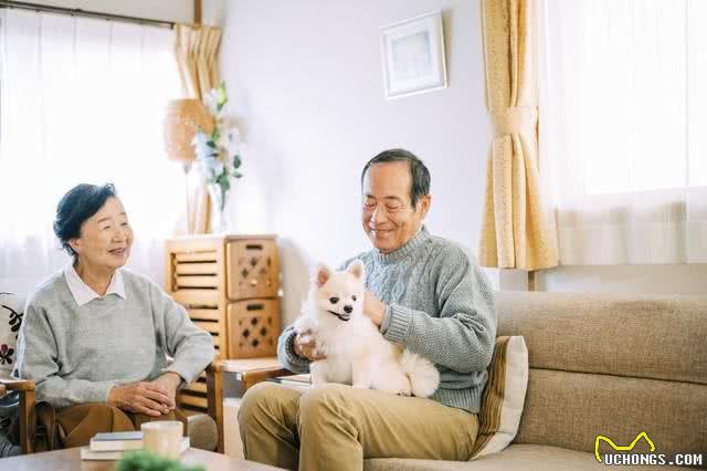 老人养狗好吗?适合老人养狗的类型
