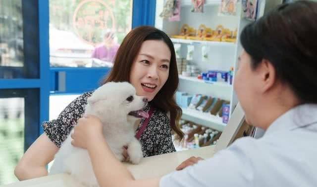 关爱狗狗，从这四个关键点开始，最后一个很多人都忽略了