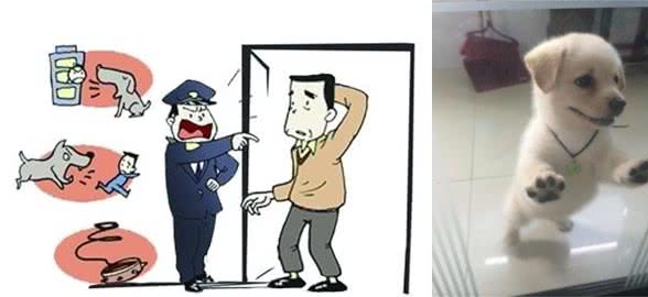 新手养狗:如何让狗狗学会独处不乱叫