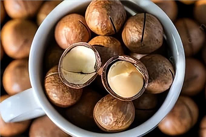 警告:这些食物不能喂狗，可能会让它随时丢命