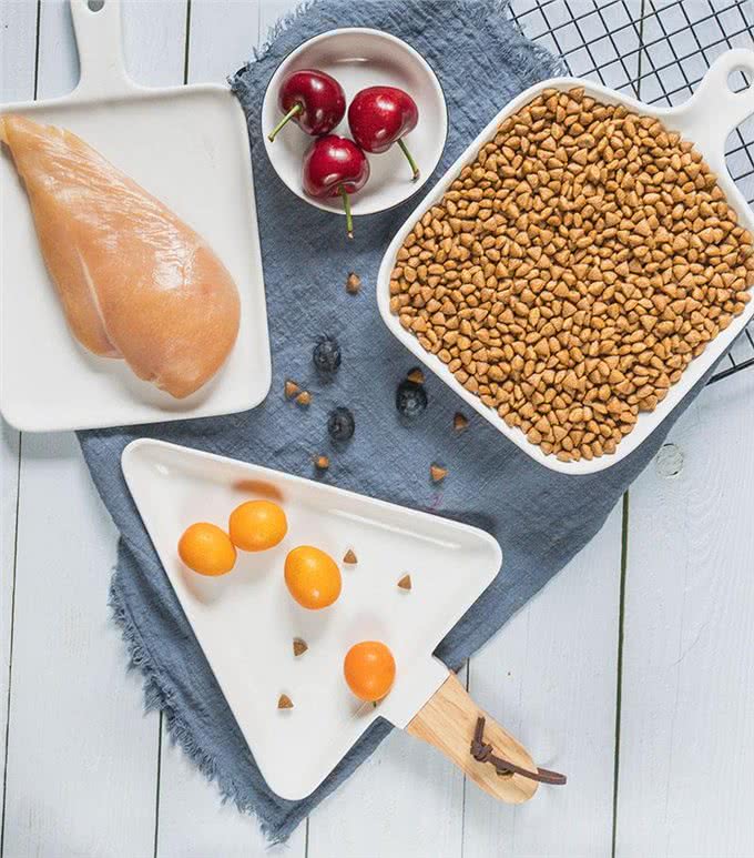 宠物食品到底是低脂肪好还是高脂肪好?