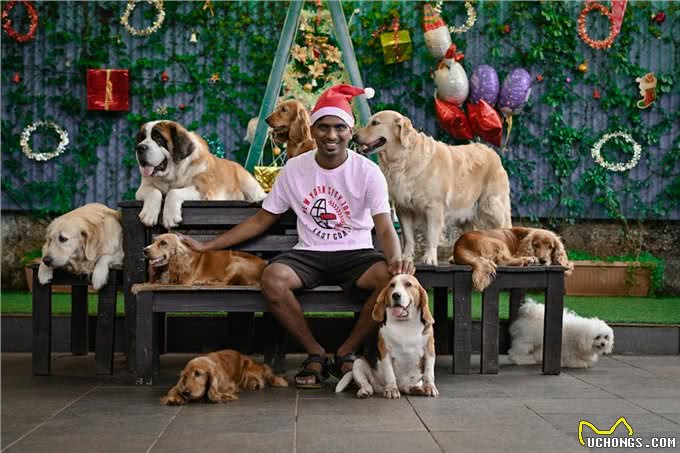 两只狗狗的高效工作,健身人必学技巧