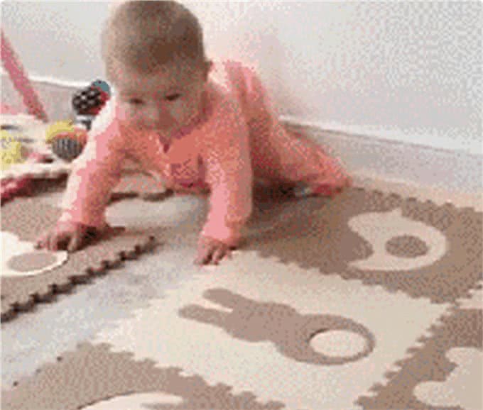 狗的占有欲有多强?它们吃醋时会做出什么神奇的事?