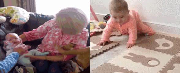 狗的占有欲有多强?它们吃醋时会做出什么神奇的事?