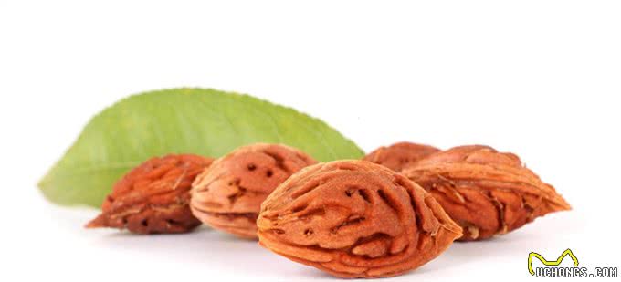 狗狗也可以吃水果,但是这5种水果千万要小心,正确选择很重要!