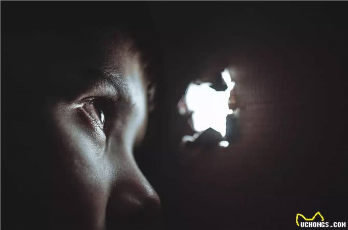 巴甫洛夫的狗:你回避社交，根本不是因为你内向