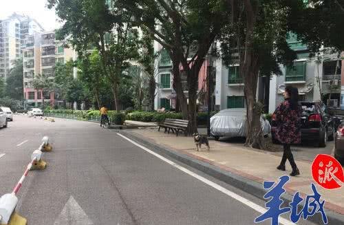 珠海狗患频发生，能否设置遛犬专用场地?