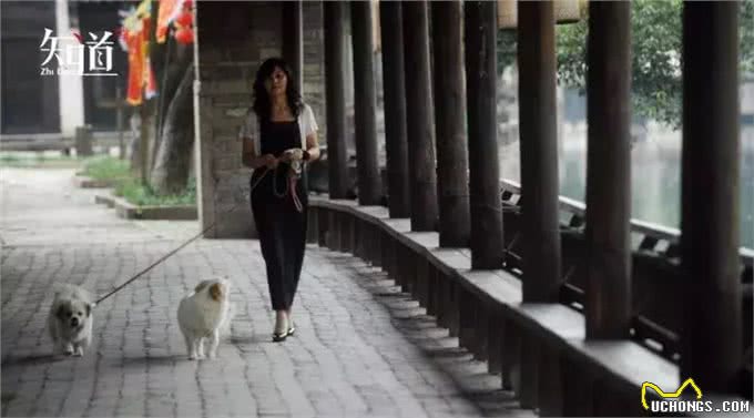 养狗者该有怎样的自我修养?