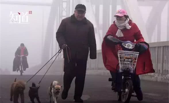 养狗者该有怎样的自我修养?