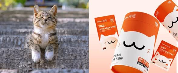 猫咪为什么掉毛?美毛亮毛的主食冻干牌子推荐