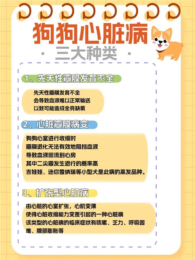 狗狗心脏病的种类