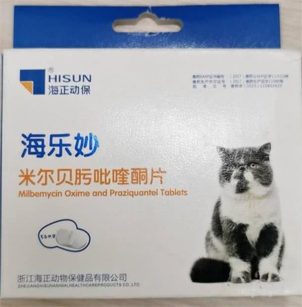 新手养宠（第二篇），猫猫狗狗驱虫的那些事儿!