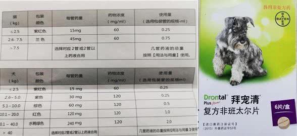 新手养宠（第二篇），猫猫狗狗驱虫的那些事儿!
