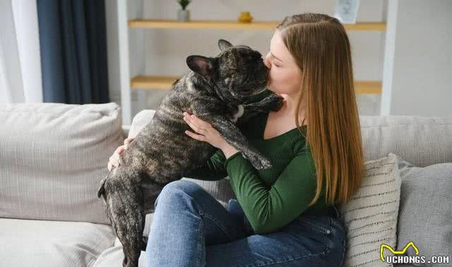 爱犬不可不知:四种最不忠诚的狗狗,选择宠物需慎之又慎