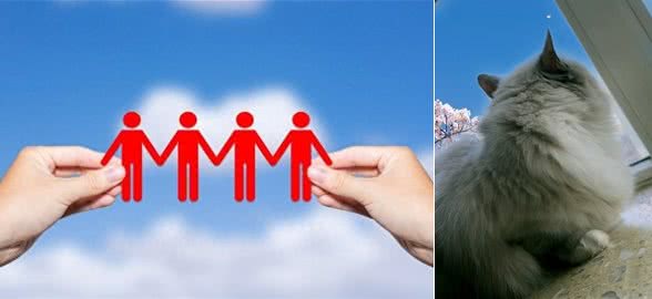 狗狗喜新厌旧，看到客人立马不搭理主人了，求主人心里阴影面积