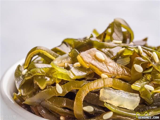 狗狗健康:狗狗补钙食物前十名