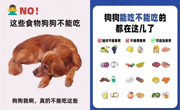 还有哪些是狗狗不能吃的食物?