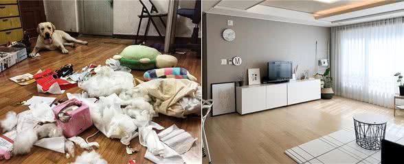 养狗和不养狗的人，生活差距很大，看完心疼了