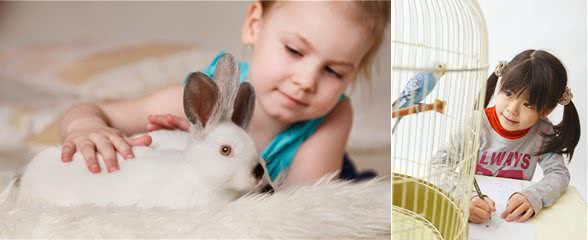 给孩子养什么宠物最合适?推荐几种小动物供孩子选择!你家有养吗