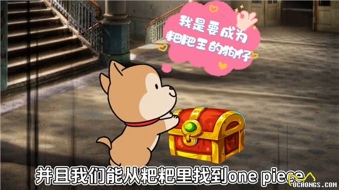 为什么狗狗看见粑粑就兴奋—科普