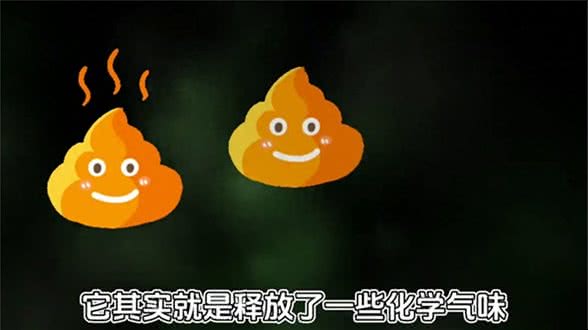 为什么狗狗看见粑粑就兴奋—科普