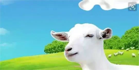 狗狗健康成长好伴侣—羊奶