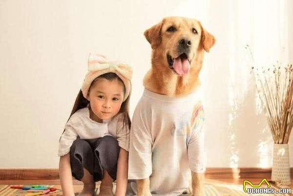 怕孤独，这7种狗随便抱只回家吧!