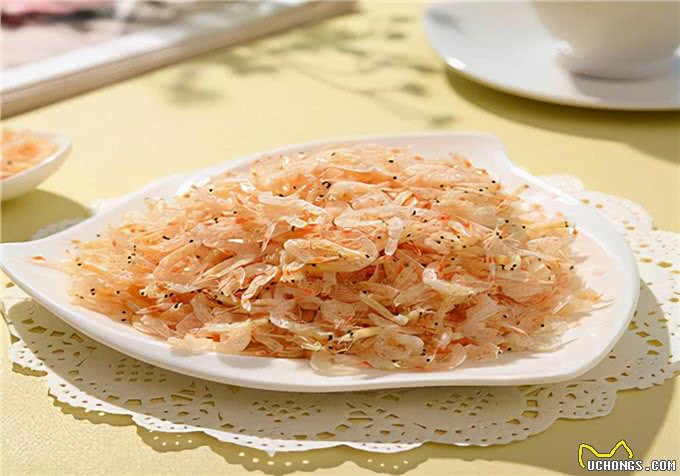 养狗经验:吃什么给狗狗补钙?含钙丰富的食物搭配营养品补充