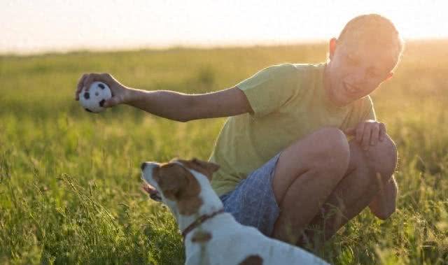人类与狗的关系：从伙伴到囚徒